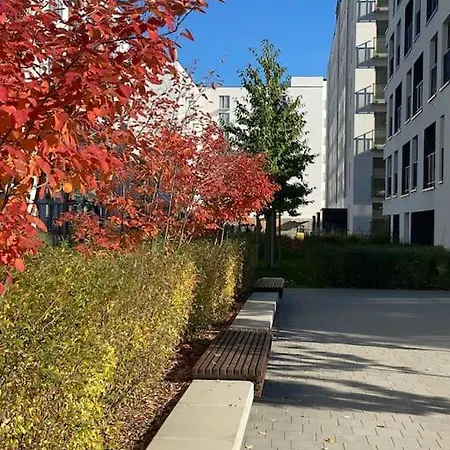 Art & Pleasure Waw Z Bezplatnym Parkingiem *