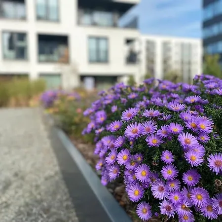 Art & Pleasure Waw Z Bezplatnym Parkingiem * Varşova
