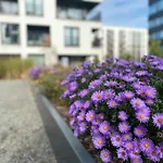 Art & Pleasure Waw Z Bezplatnym Parkingiem * Varšava